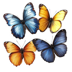 Obraz premium Beautiful blue, green, and yellow butterflies isolated on white background.PNG