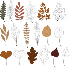 Set of vector autumn elements line leaves