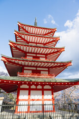 Fujiyoshida, Yamanashi, Japan - APR 17, 2024: Arakura Fuji Sengen Jinja Shrine. Mt Fuji with red pagoda in cherry blossom sakura in spring season .