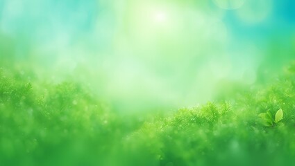 green grass background
