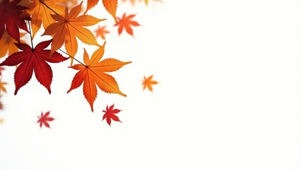 Autumn leaves in shades of orange falling against a white background.