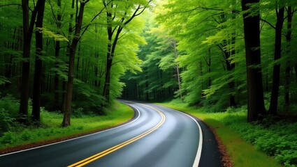 Obraz premium A lengthy journey along the road leading to NP