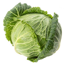 Obraz premium Cabbage isolated on white background