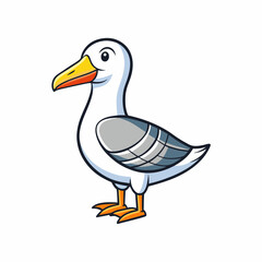 albatross in a white background