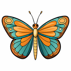 butterfly vector illustration