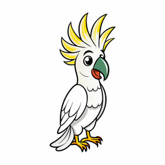 cockatoo on white background