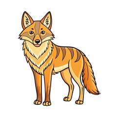 coyote cartoon isolated on white