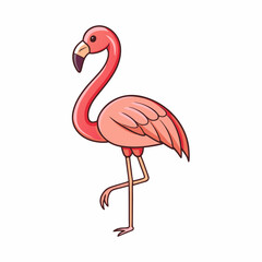 flamingo vector illustration