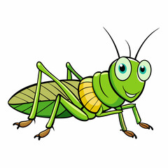 grasshopper on a white background