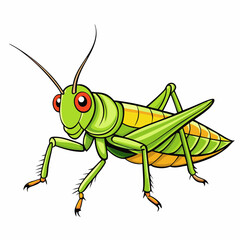 grasshopper on a white background