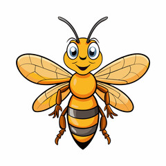 hornet on white background