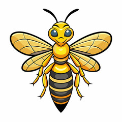 hornet on white background