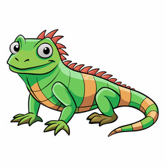 green iguana on white