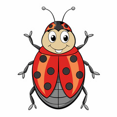 ladybug on white background