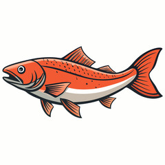 salmon fish on a white background