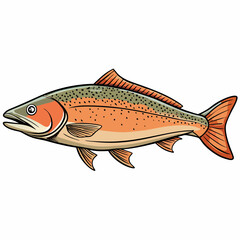 salmon fish on a white background