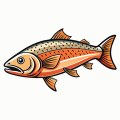 salmon fish on a white background