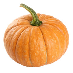 Pumpkin isolated on white background
