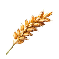 Golden Wheat Ear Abundant Harvest Nature's Bounty