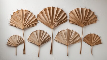Dried palm leaves on a white background. Close-up of fan-shaped dried tropical palm tree leaves. Natural backdrop. Front view. Space for text.