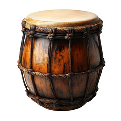 Bongo isolated on white background.PNG