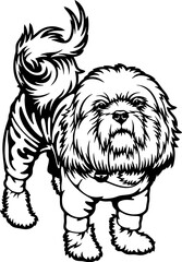 Maltipoo Dog Breed - Pet Vector Cut file, Dog Silhouette Stencil - Cricut file