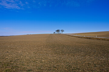 Obraz premium Trees on the Horizon, Empty Field