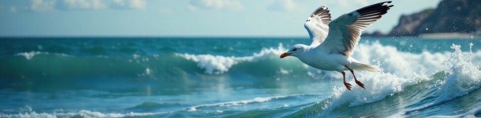 Fototapeta premium Seagull flying over waves, water, movement, wave