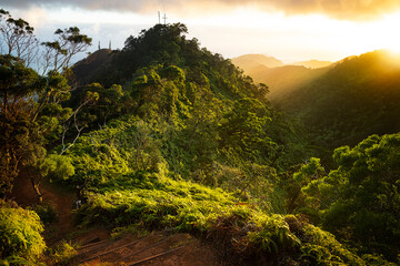 A Surprise Spectacle