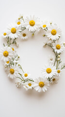 Obraz premium Delicate Daisy Wreath on White Background 