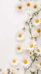 Fototapeta premium Delicate Daisy Wreath on White Background 