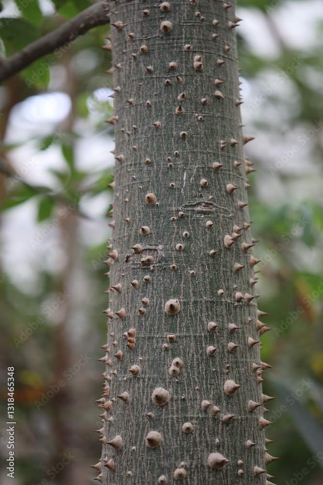 Poster a close-up shot of a tree with numerous small holes.