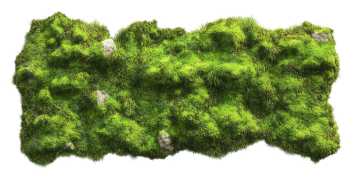Mossy landscape wall decor
