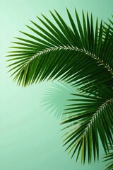 Fototapeta premium Close-up of large dark green palm fronds swaying in the wind, wind, wilted