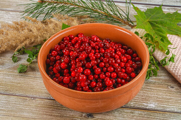 Natural organic wild forwst lingonberry