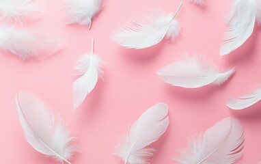 Obraz premium Floating delicate white feathers on a soft pastel pink background