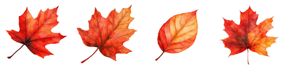 Obraz premium Vibrant autumn leaves in shades of red orange and yellow showcasing the breathtaking beauty of nature s seasonal transition This image captures the colors and patterns of deciduous foliage