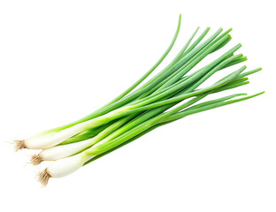 Fresh spring onions, isolated, studio shot, displayed for culinary use