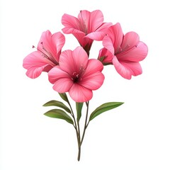 Obraz premium Bouquet of bright pink flowers isolated on clear white background