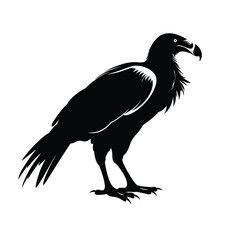 Fototapeta premium black silhouette of a vulture.