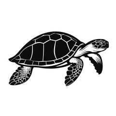 Fototapeta premium black silhouette of a turtle