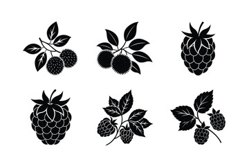 Fruits Silhouette Vector Illustrations  Bundle