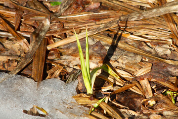 Let's see what happened, let's see how.