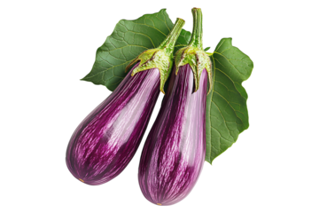 Fresh eggplants with leaves, isolated on white transparent background, concept of healthy eating.