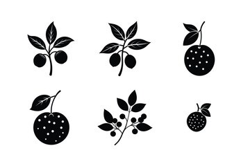Fruits Silhouette Vector Illustrations  Bundle