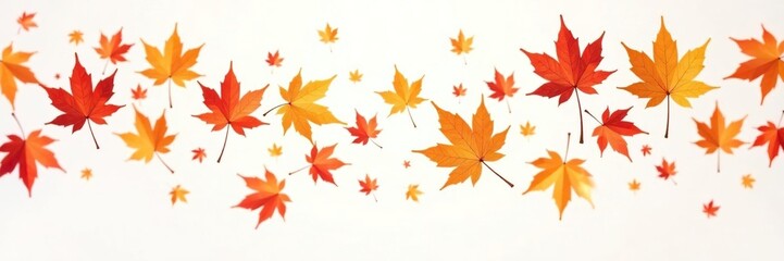Delicate maple leaves fall on a white background, foliage, natural