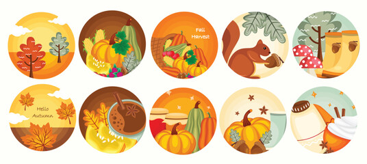 Pumpkin spice set vector