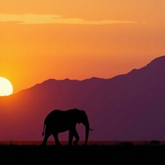 Fototapeta premium Majestic elephant silhouette against sunset sky, wildlife, silhouette, elephant