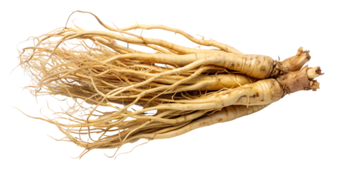 You've reached our limit of messages per hour Please try again later