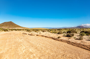 Track into the Canada de Melian riverbed, Island Fuerteventura, Canary Islands, Spain, Europe.